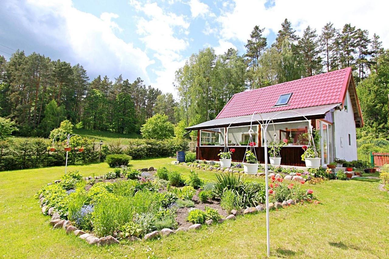 Domki Wczasowe Mazury - Ferienhaus Masuren - Do 12 Osob - Idealny Dla Grup Dluzek Dış mekan fotoğraf
