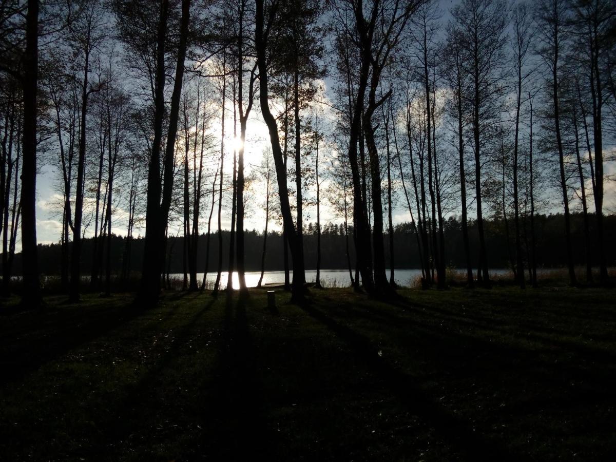 Domki Wczasowe Mazury - Ferienhaus Masuren - Do 12 Osob - Idealny Dla Grup Dluzek Dış mekan fotoğraf