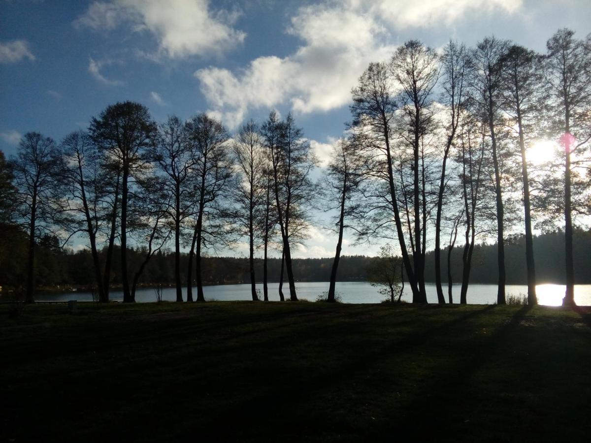 Domki Wczasowe Mazury - Ferienhaus Masuren - Do 12 Osob - Idealny Dla Grup Dluzek Dış mekan fotoğraf