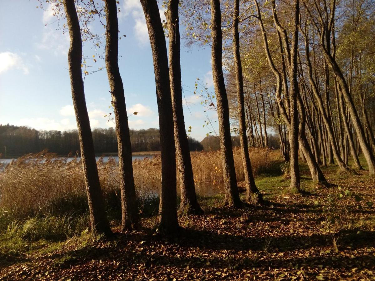 Domki Wczasowe Mazury - Ferienhaus Masuren - Do 12 Osob - Idealny Dla Grup Dluzek Dış mekan fotoğraf